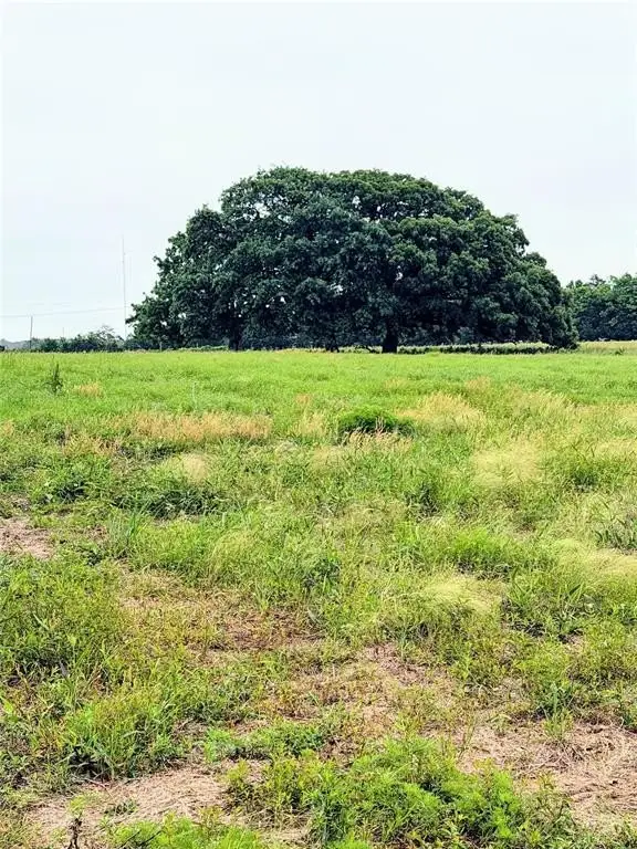 Picture 16