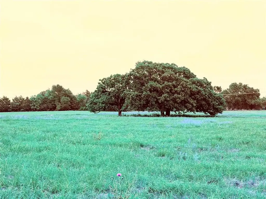 Picture 18