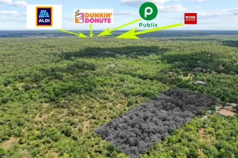 Golden Gate Estates 5-Acre Lot