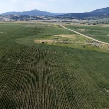 25.49 Acres in Soda Springs