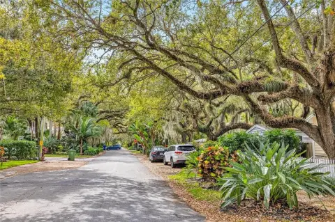 Colee Hammock Premier Lot