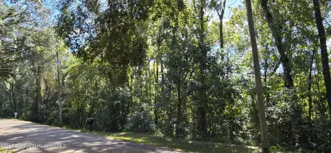 Wooded Lot in Ludlow Heights