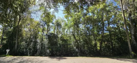 Wooded Lot in Ludlow Heights