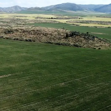 60 Acres of Idaho Land