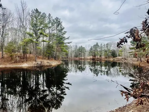 60.2 Acres with Scenic Pond