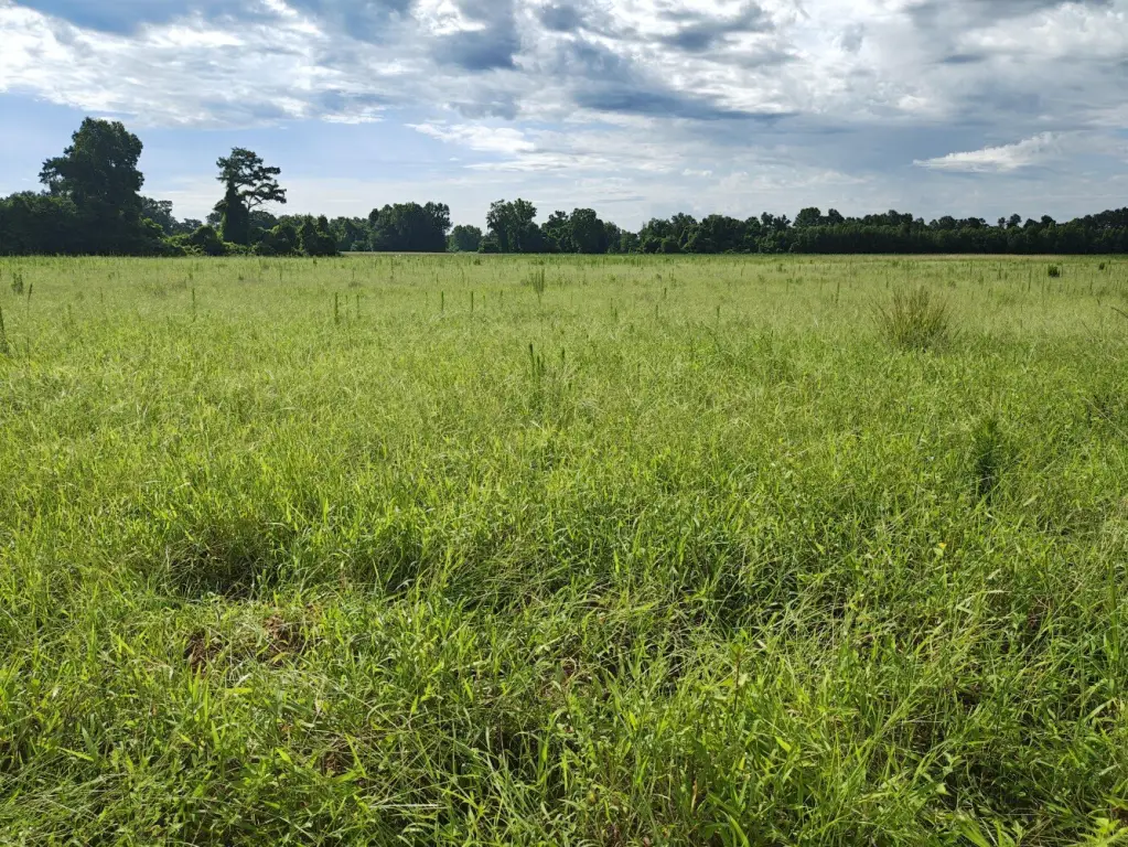 Picture 28