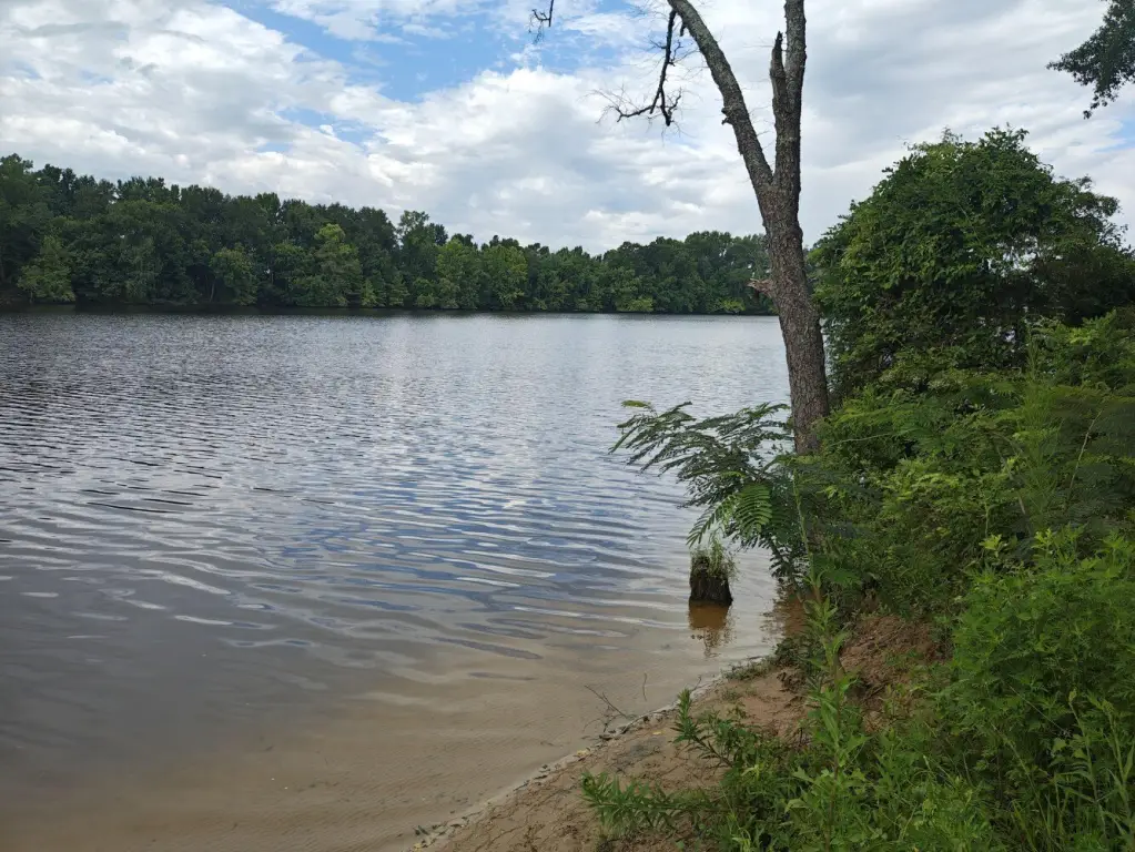 Picture 17