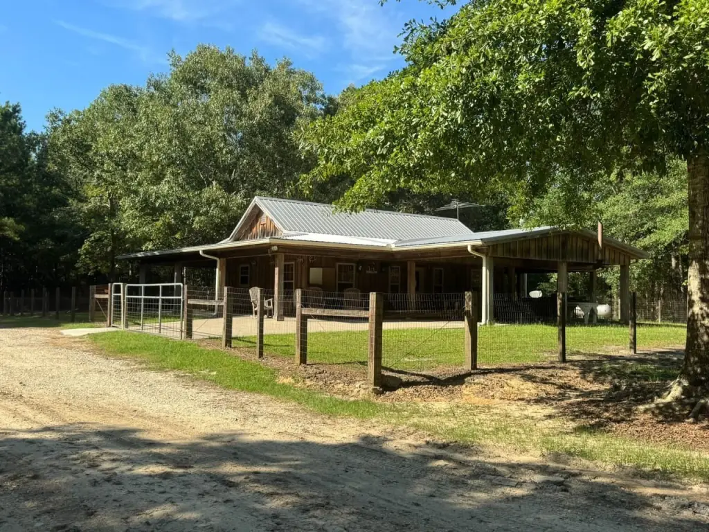 Picture 14
