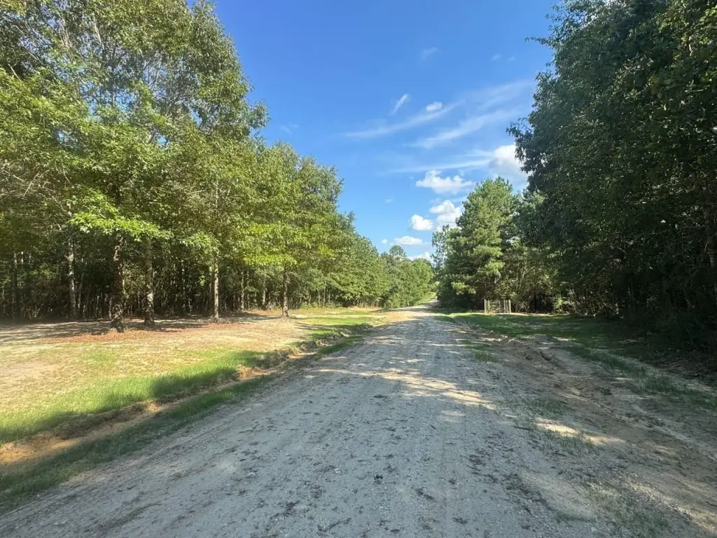 Picture 27