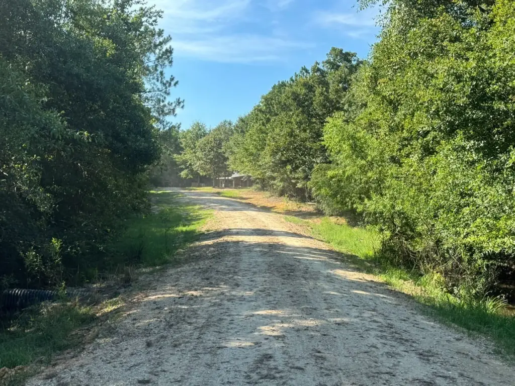 Picture 28