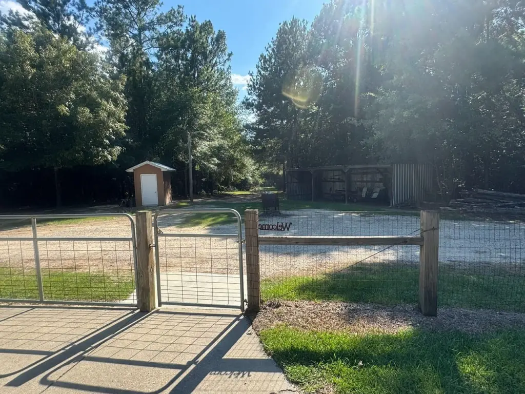 Picture 15