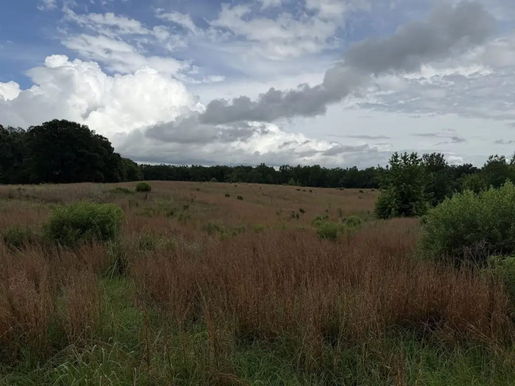 Picture 46