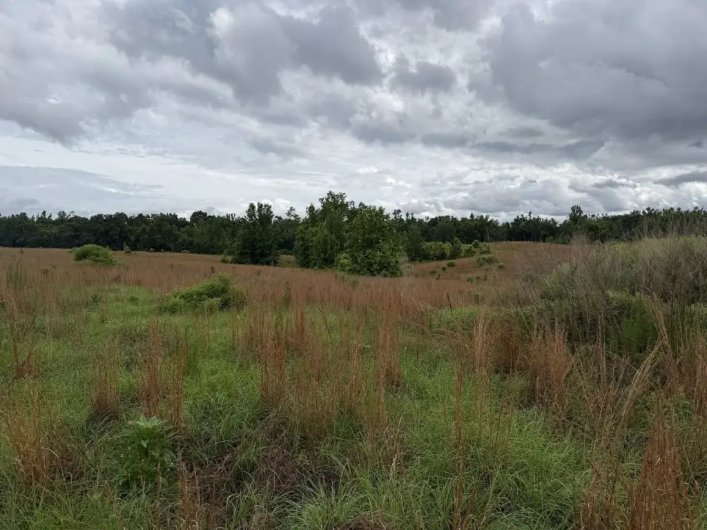 Picture 30