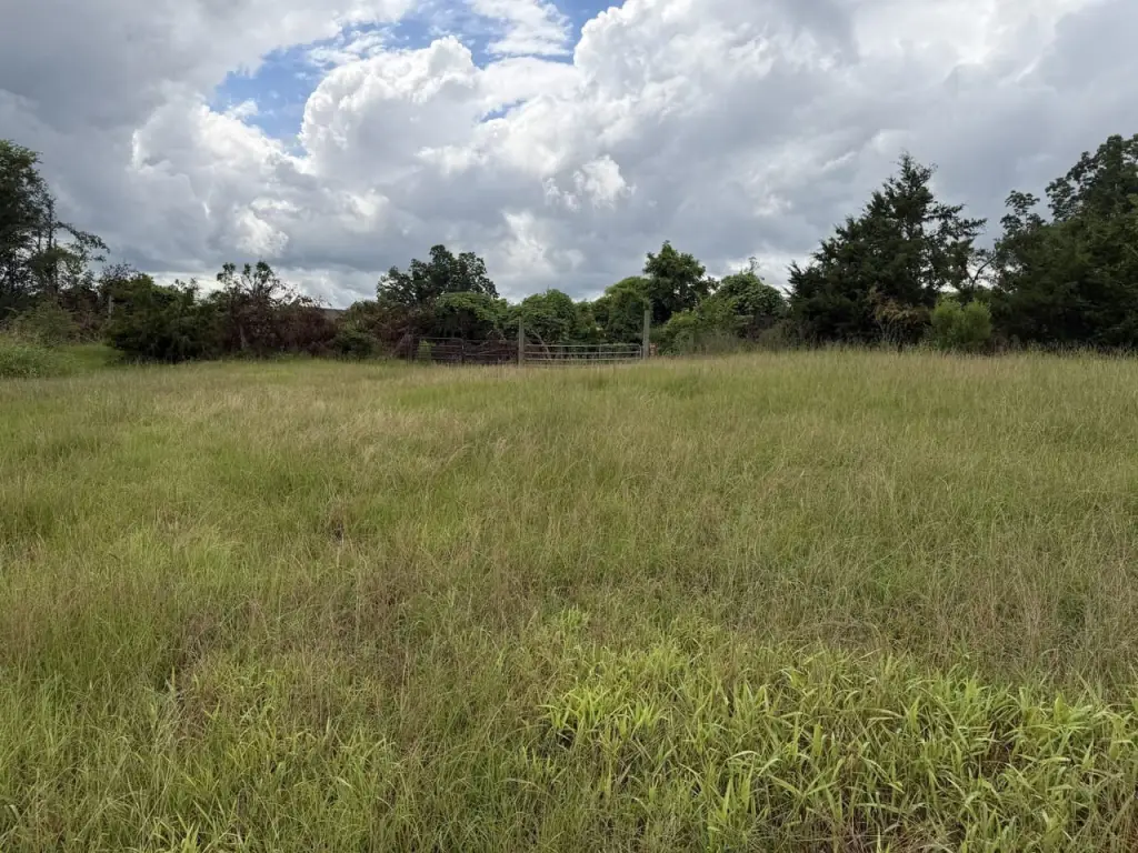 Picture 19