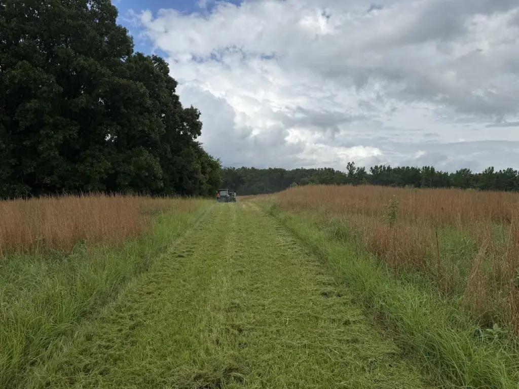 Picture 32