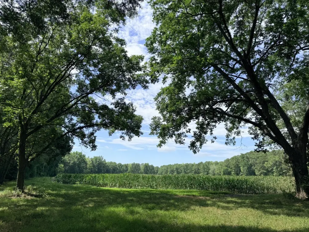 Picture 19
