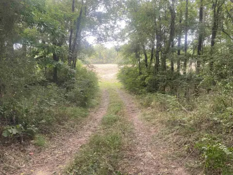Residential Lot Near Ouachita River
