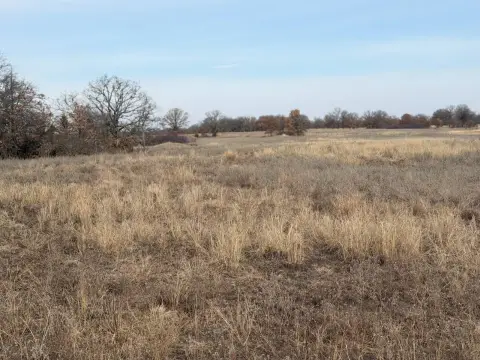 Open Farmland Tract