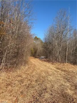 28 Acres of Wooded Land