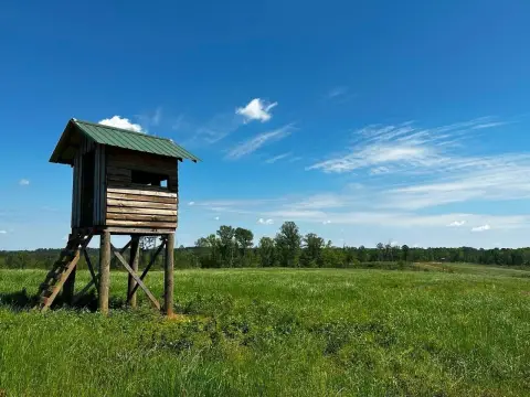 Land with Food Plots