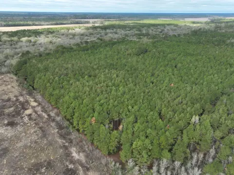 40 Acres Vacant Land in Mamou