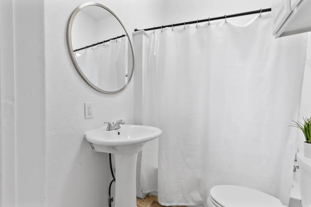 Picture 8