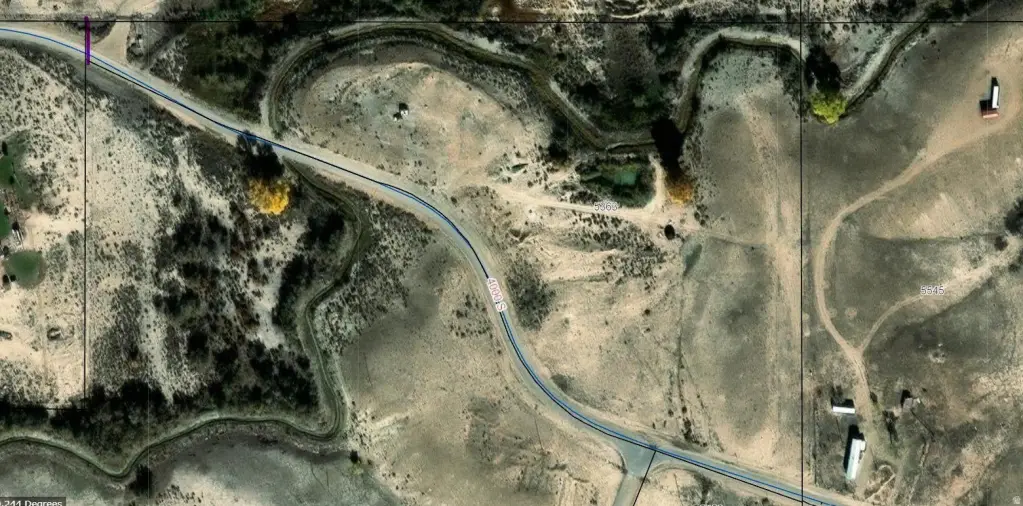 Picture 14