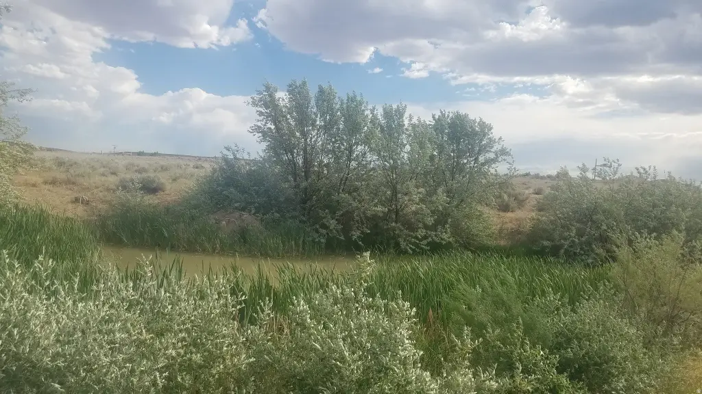 Picture 8