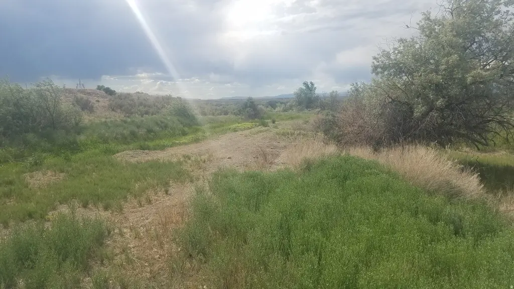 Picture 33