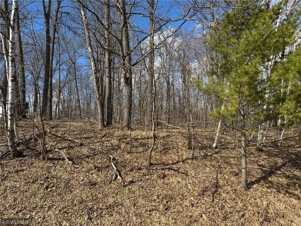 Picture 25