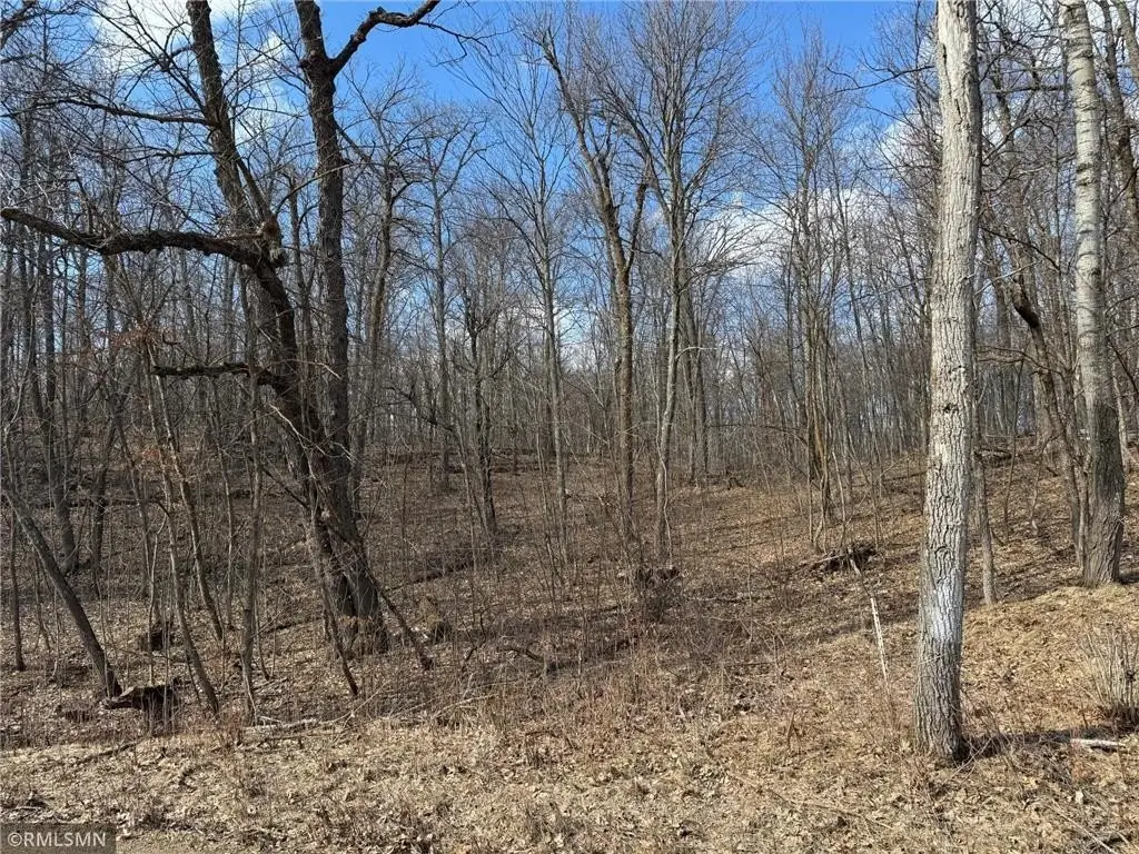 Picture 28