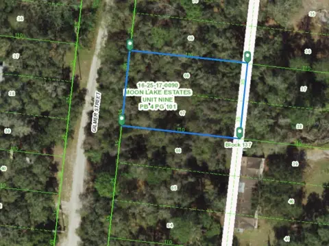 New Port Richey Land Opportunity