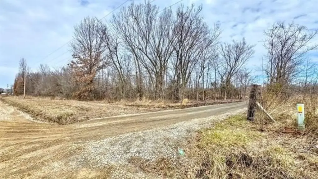 Picture 4