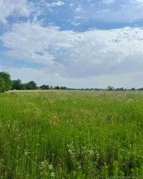Highway Frontage Land in Big Cabin