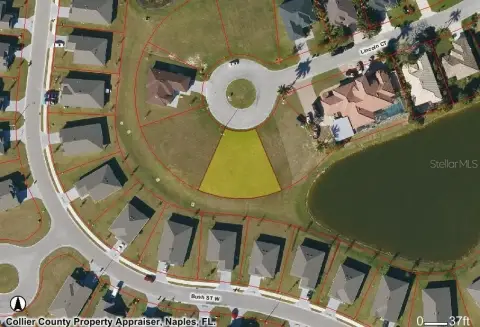 Cleared Land in Growing Area