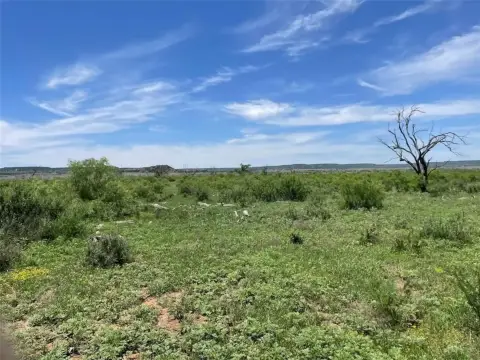 100 Acre Merkel Ranch Land