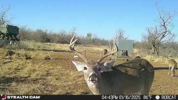 Turnkey Texas Hunting and Recreational Ranch