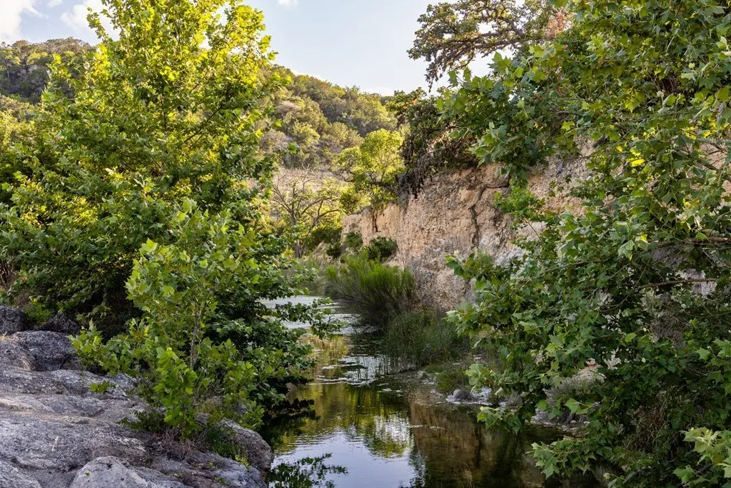 Picture 41