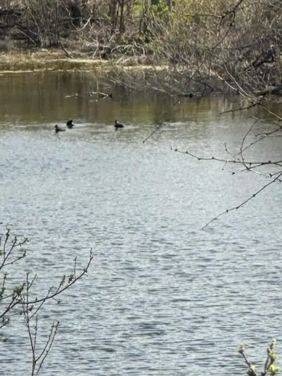Picture 44