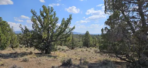 10 Acres Recreational Land, Prineville