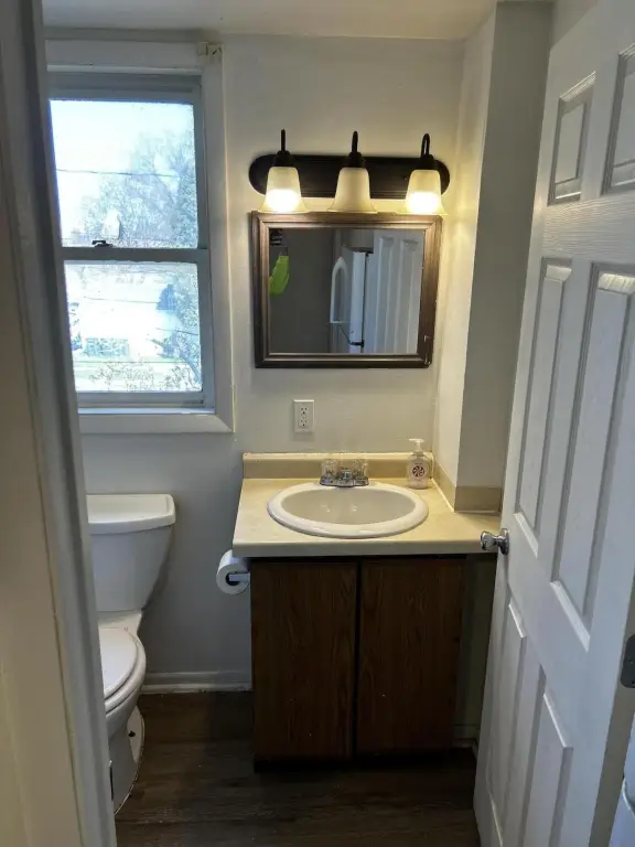 Picture 19