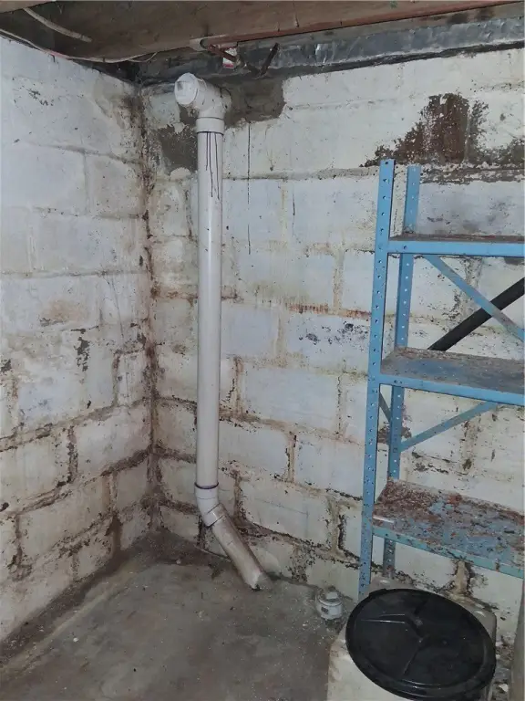 Picture 23