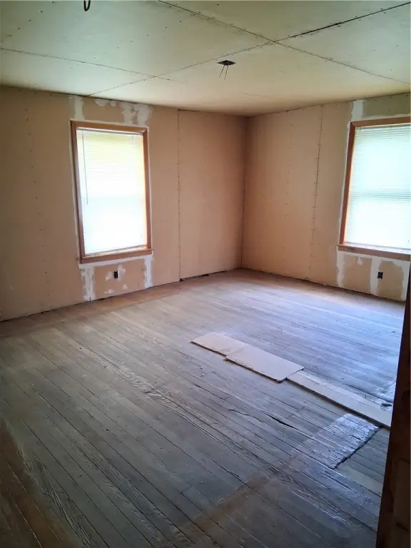 Picture 15