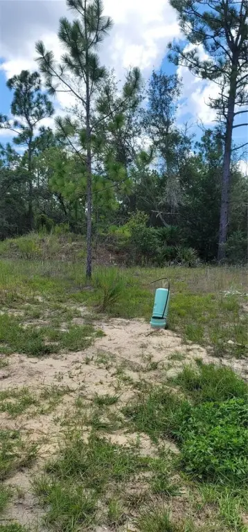 Picture 11