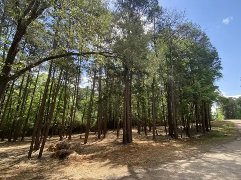 Hallsville Vacant Land with Acreage