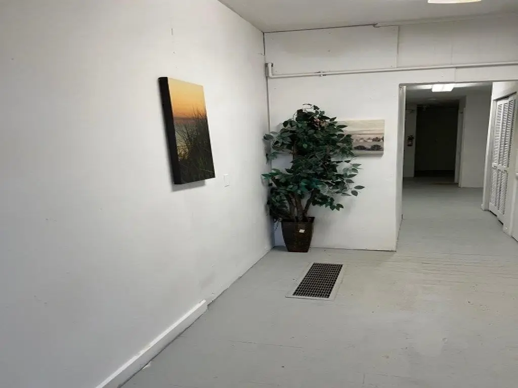 Picture 6