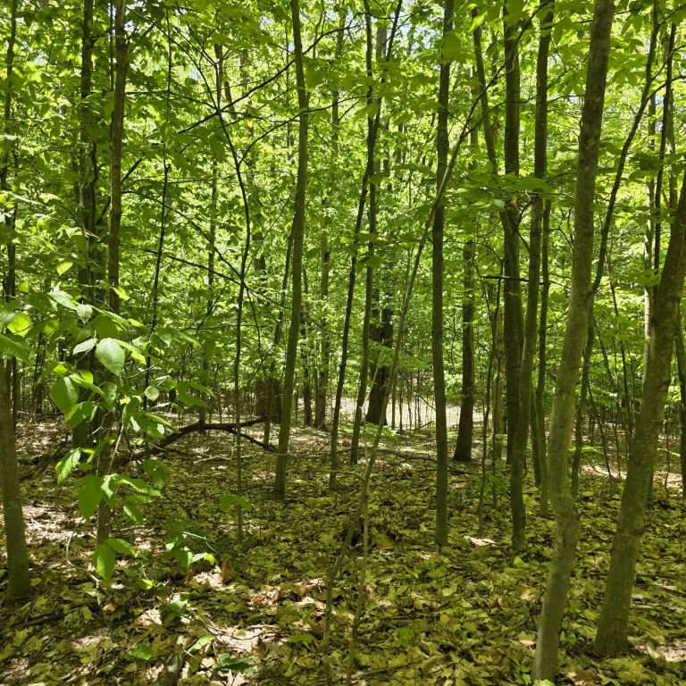 Picture 9