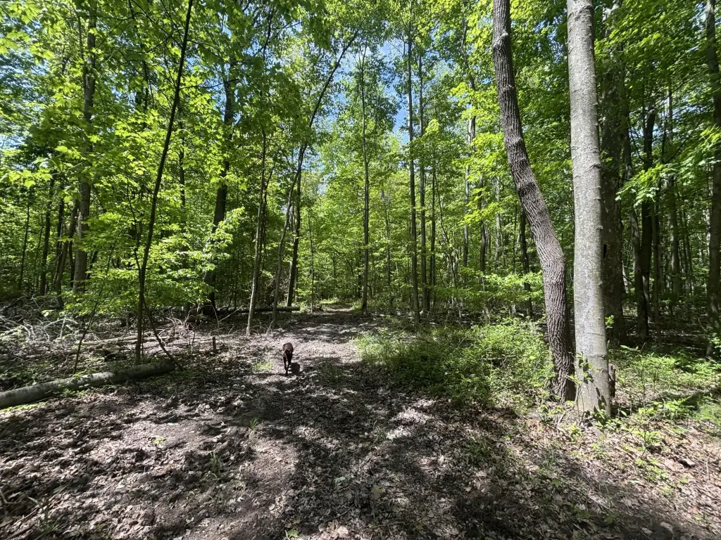 Picture 24