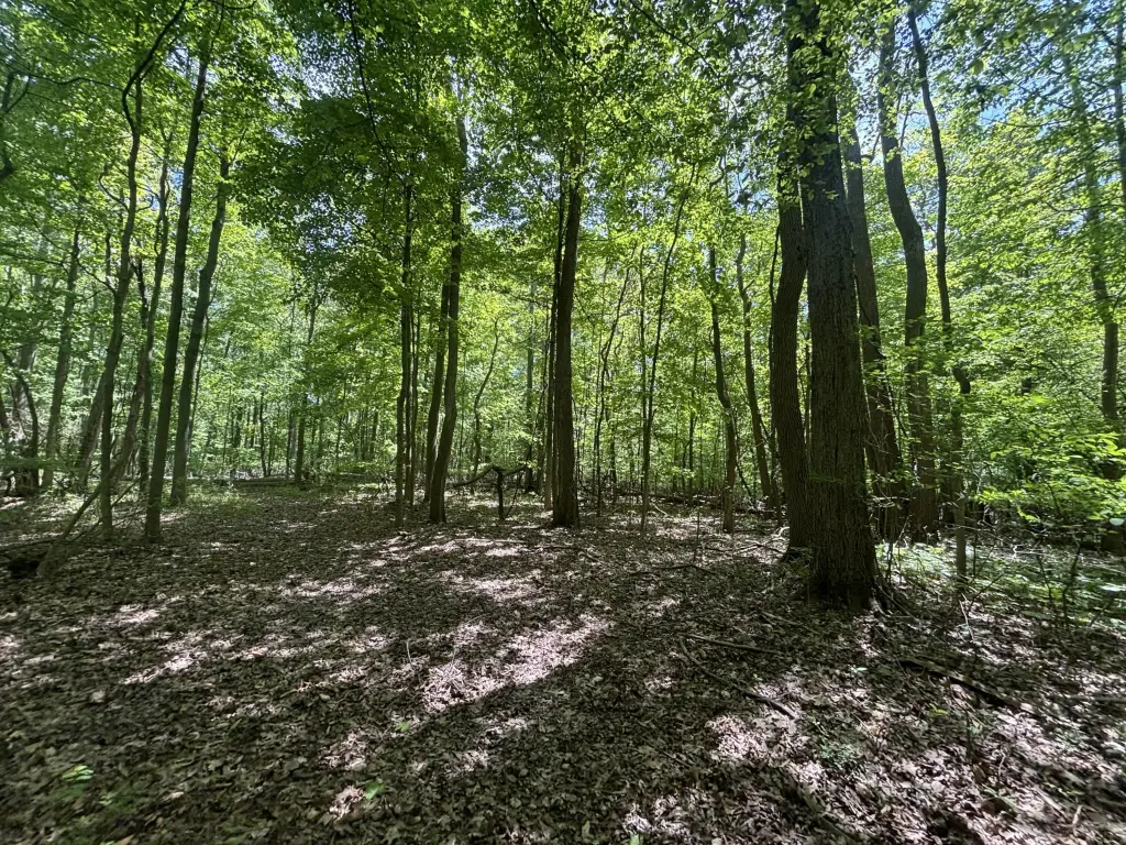Picture 29