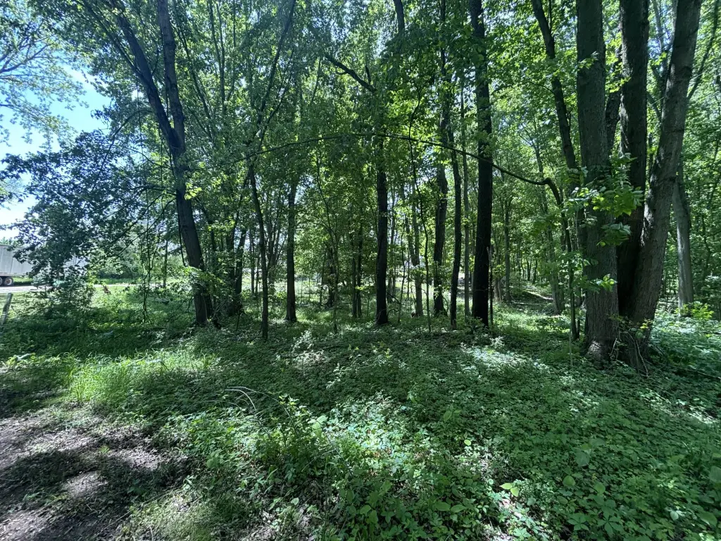 Picture 37